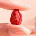 180~900 grains Goji berry Ningxia Gojiberry dried